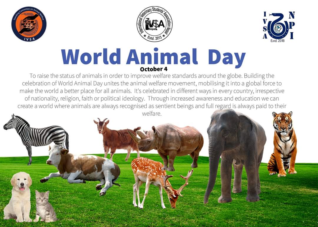 Celebration Of World Animal Day 2021 | IVSA Nepal